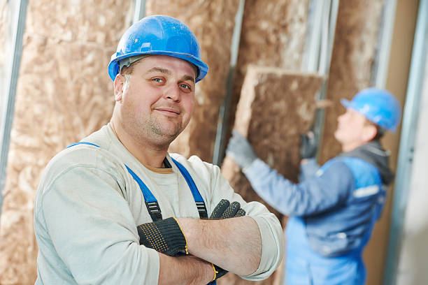 Best Attic Insulation Installation  in Greer, SC